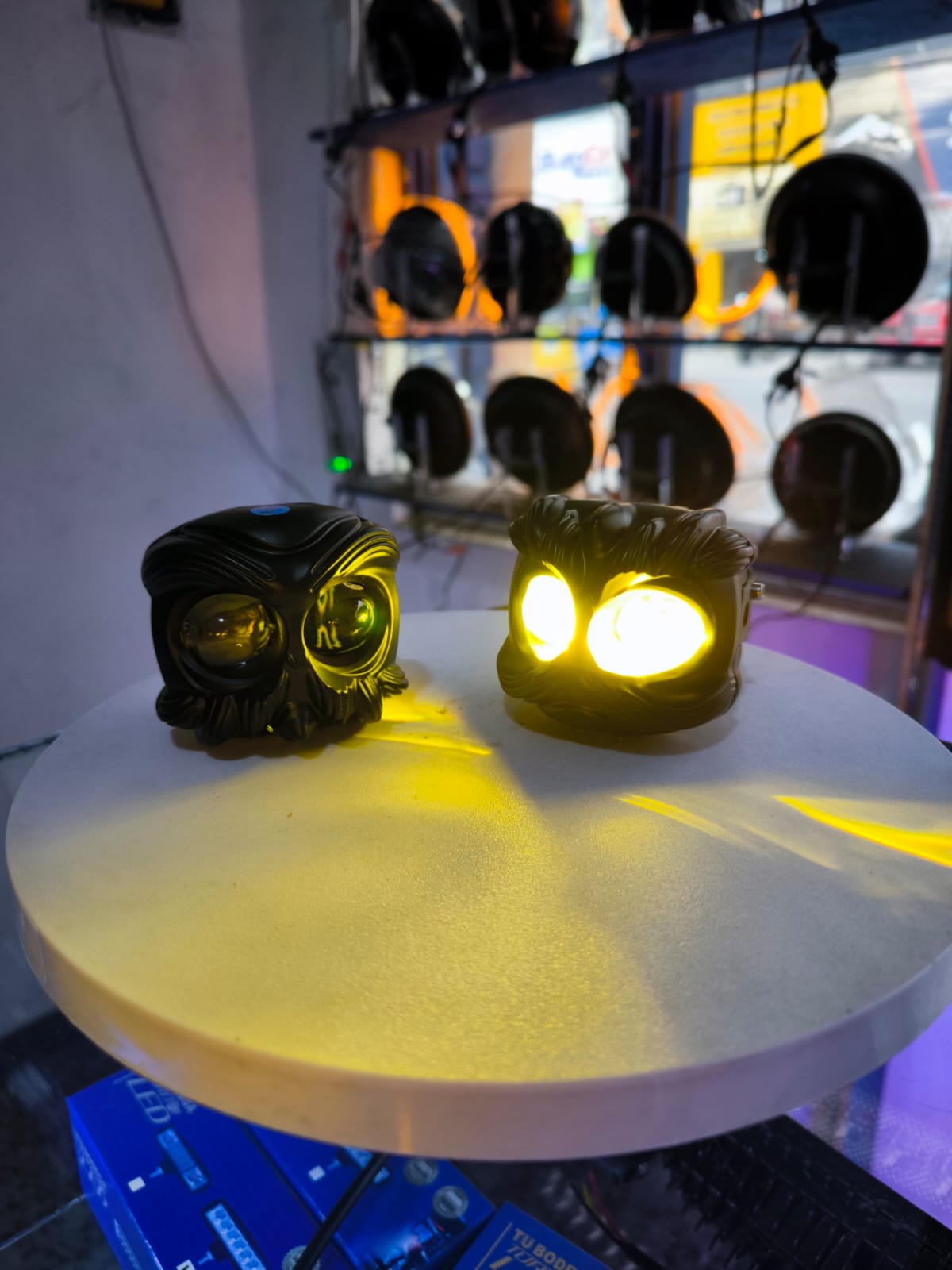 Miniatura 3 de PAR EXPLORADORAS LEON (TB212)